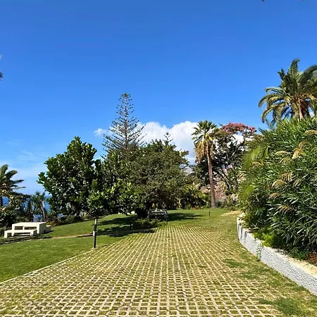 The Venus By Sam Funchal (Madeira)